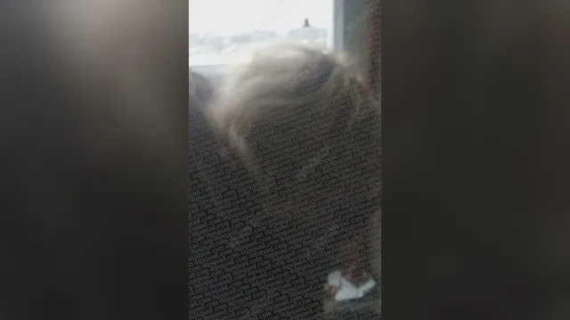 Русскую закладчицу пресанули и выебали в падике
